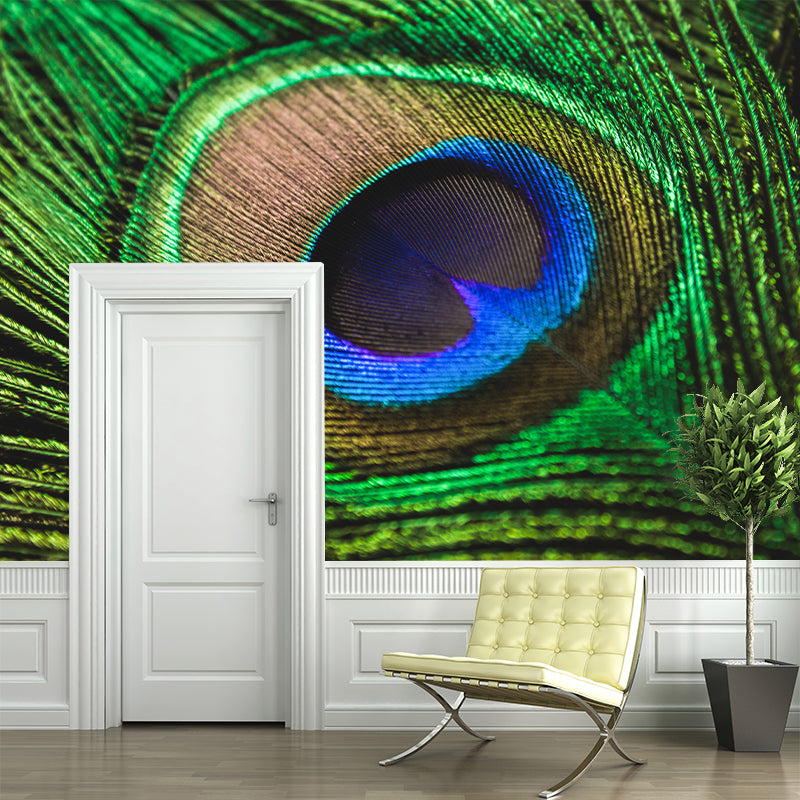 Peacock Feather Wall Mural Home Decor Mildew Resistant for Sitting Room