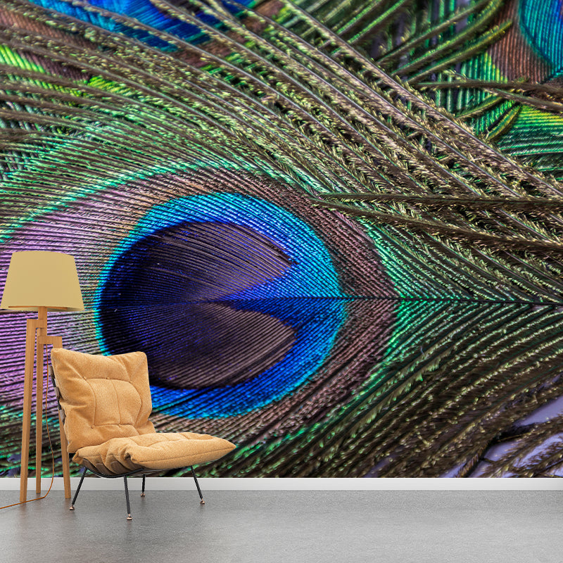 Peacock Feather Wall Mural Home Decor Mildew Resistant for Sitting Room