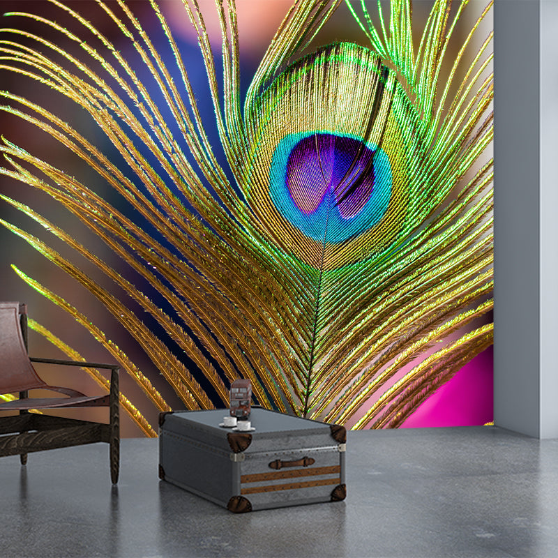 Peacock Feather Wall Mural Wallpaper Stain Resistant Wall Decor for Room