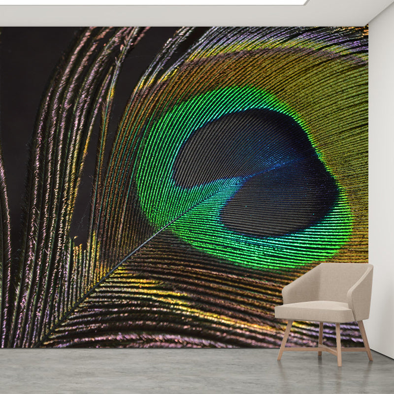 Peacock Feather Mural Modern Style Wall Covering for Sitting Room Decor