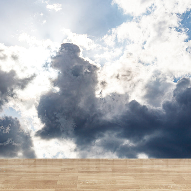 Sky View Mural Modern Stain Resistant Wall Art for Sitting Room, Made to Measure