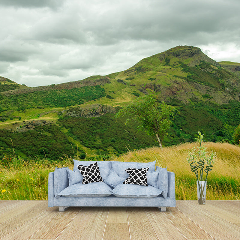 Mountain Landscape Mural Wallpaper Water Resistant Wall Covering for House Interior