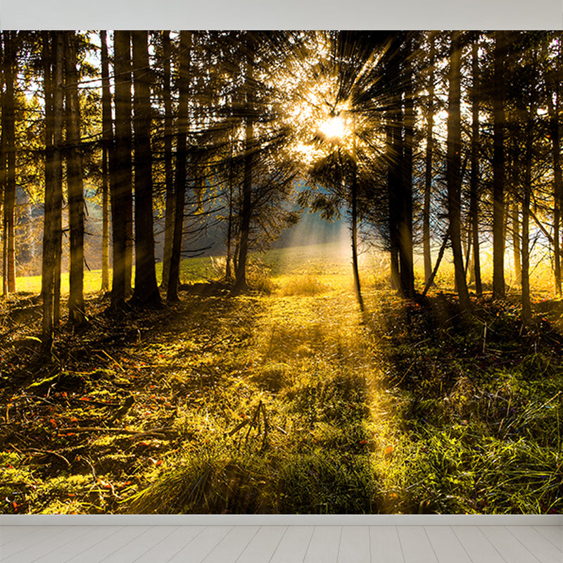 Forest Customized Mural Wallpaper Contemporary for Living Room Bedroom Decor
