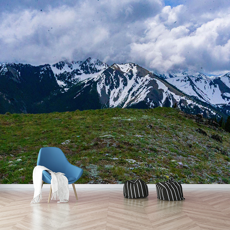 Moisture Resistant Mural Wallpaper for Home Decoration, Made to Measure