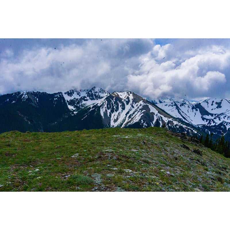 Moisture Resistant Mural Wallpaper for Home Decoration, Made to Measure