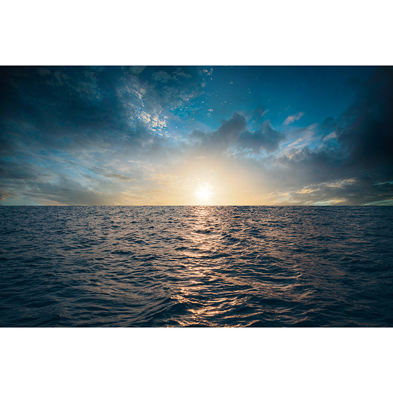 Modern Beach Environment Friendly Mural Wall Covering for Sleeping Room