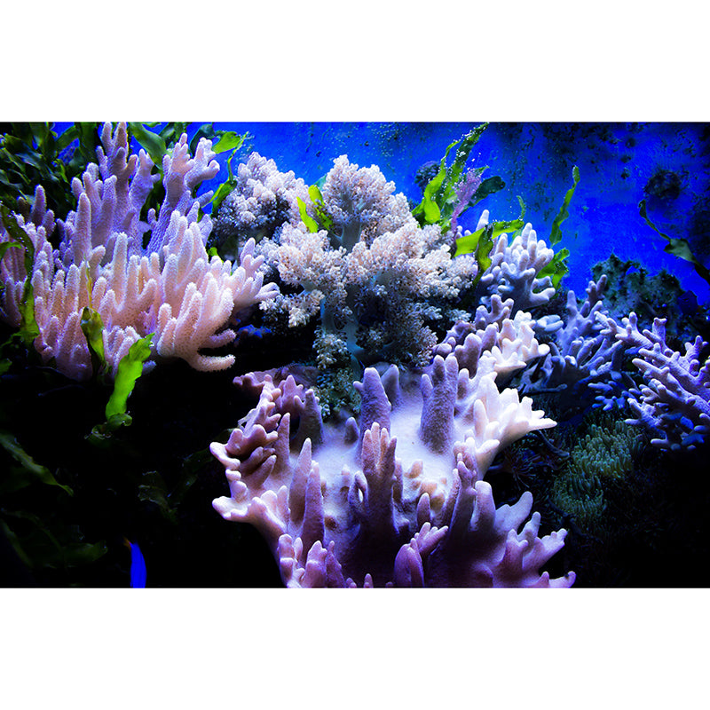 Underwater Creatures Modern Environment Friendly Mural Wall Covering for Living Room