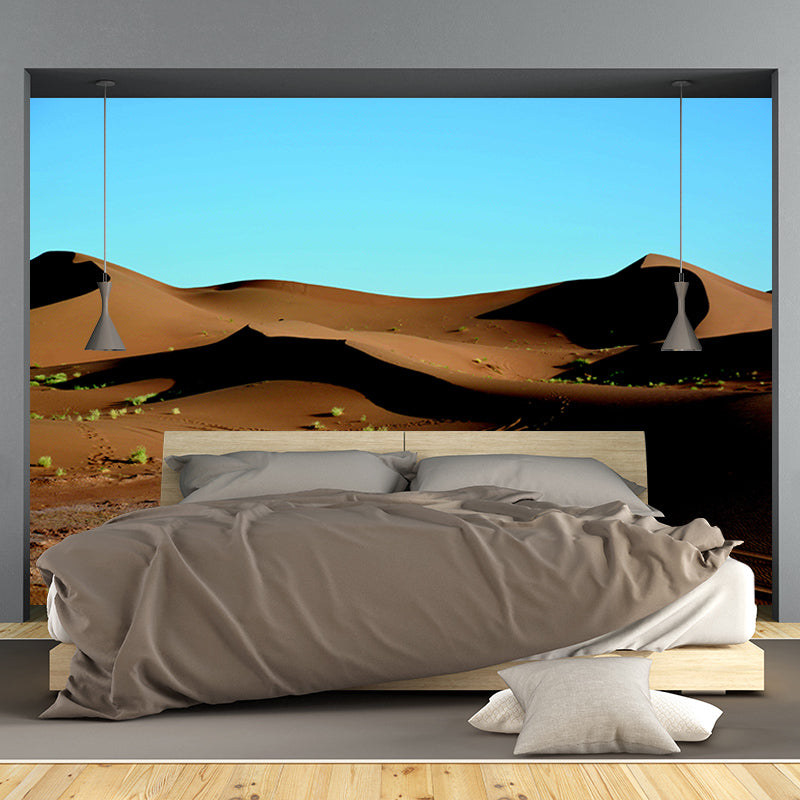 Desert Landscape Photo Wall Mural Stain Resistant Wall Art for Dining Room