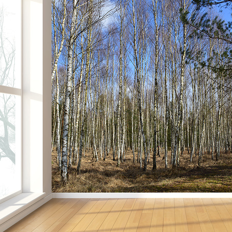 Modern Style Water Resistant Sitting Room Forest Wall Covering, Personalized Size