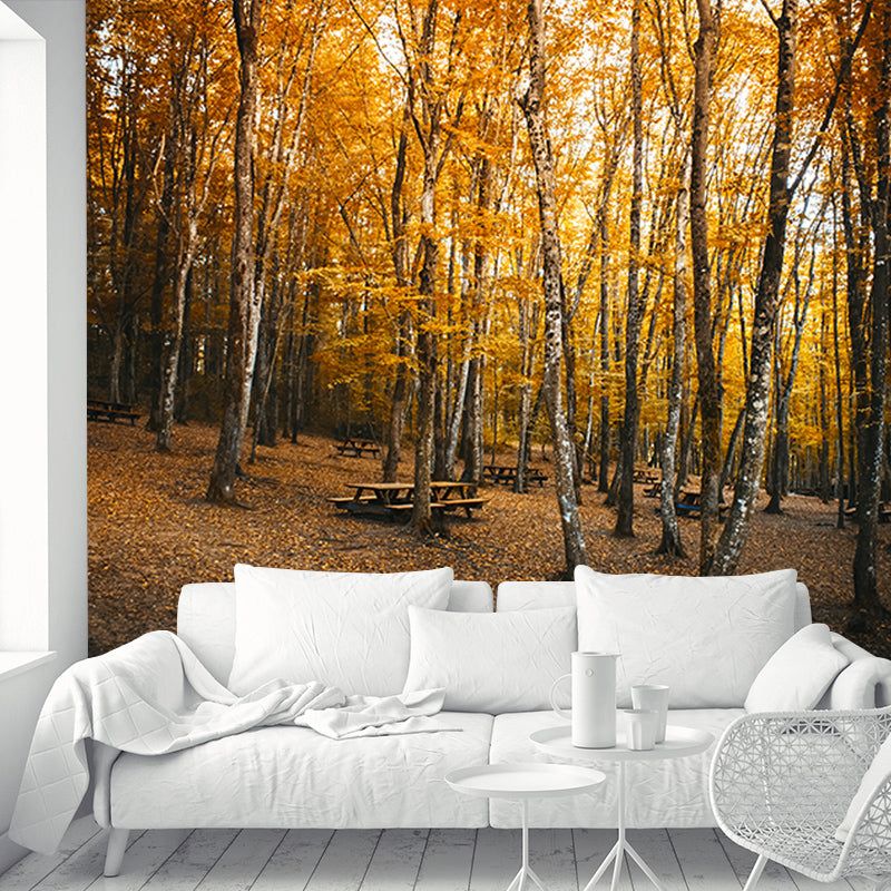 Forest Wall Murals Contemporary Environment Friendly Wall Art for Bedroom