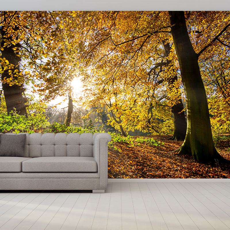 Forest View Mural Wallpaper Mildew Resistant Wall Covering for House Interior