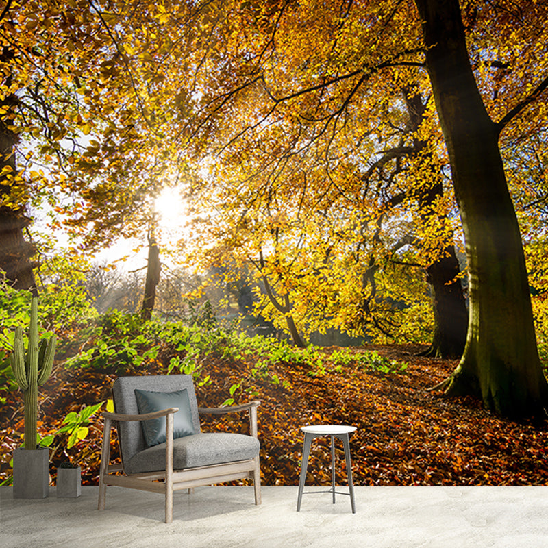 Forest View Mural Wallpaper Mildew Resistant Wall Covering for House Interior