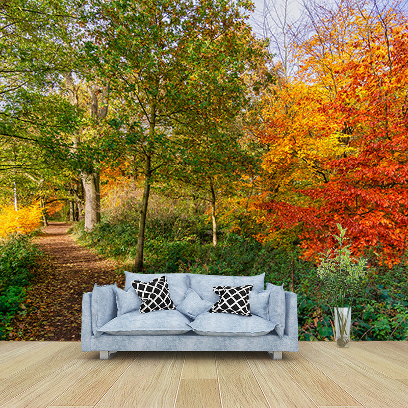 Forest View Mural Wallpaper Mildew Resistant Wall Covering for House Interior