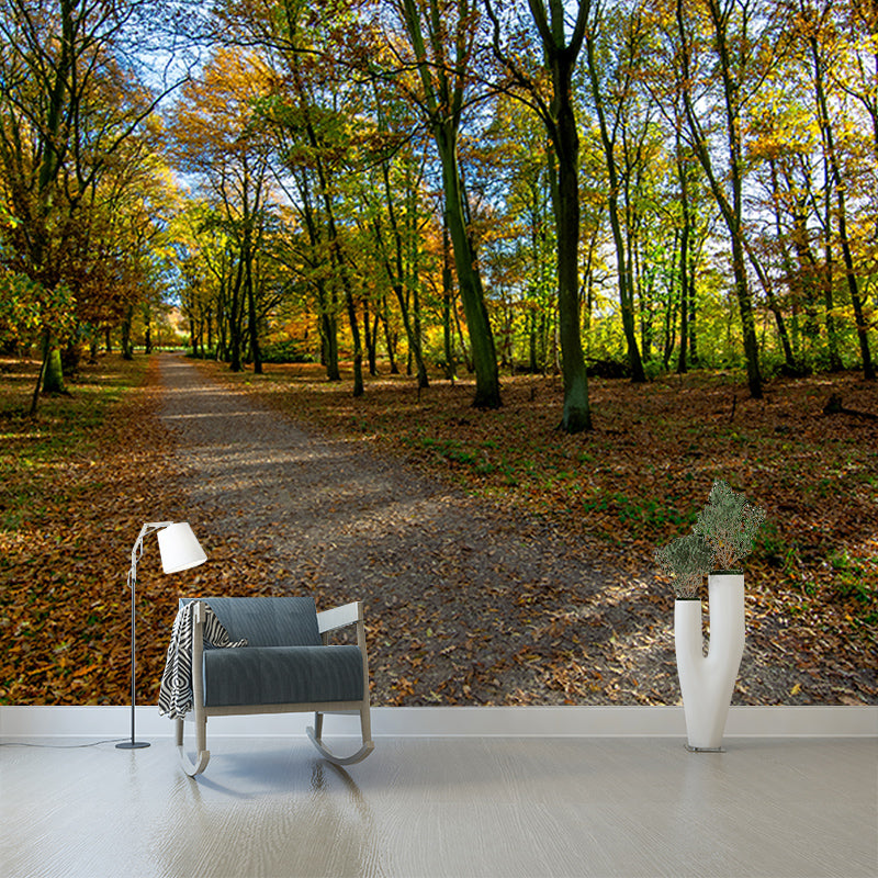 Forest View Mural Wallpaper Mildew Resistant Wall Covering for House Interior