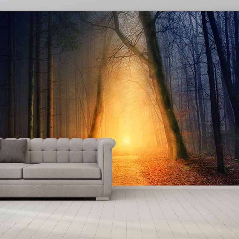 Forest Mural Wallpaper for Sitting Room Bedroom Decor, Moisture Resistant