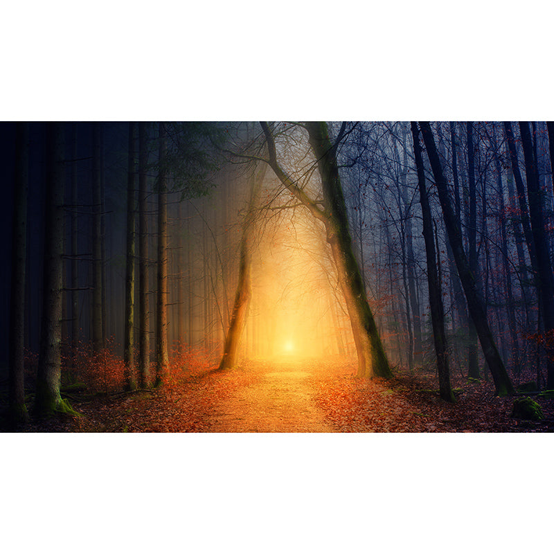 Forest Mural Wallpaper for Sitting Room Bedroom Decor, Moisture Resistant