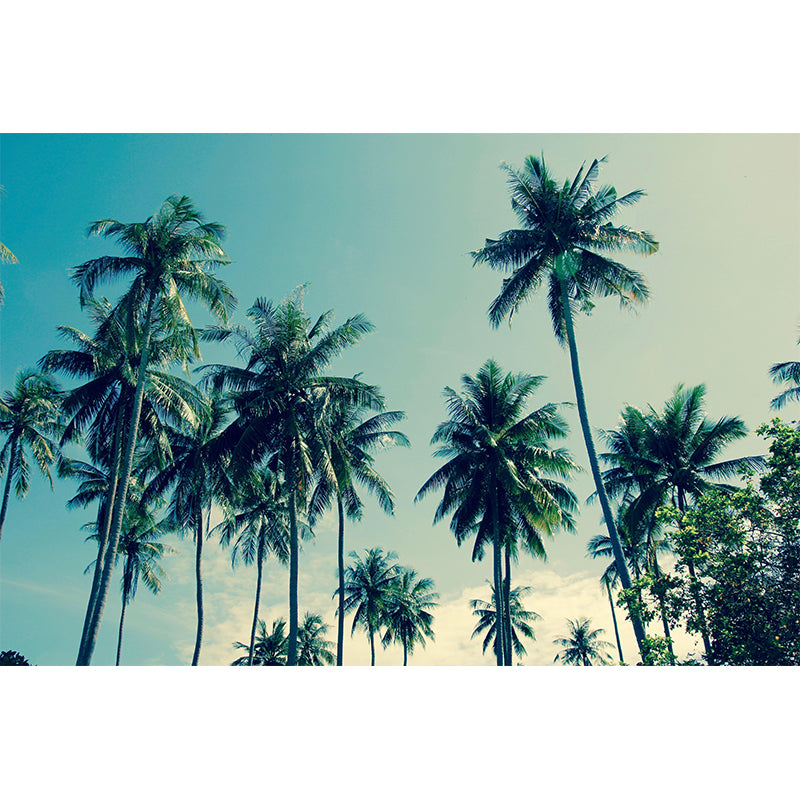 Horizontal Photography Palm Tree Mural Environment Friendly Wallpaper for Room