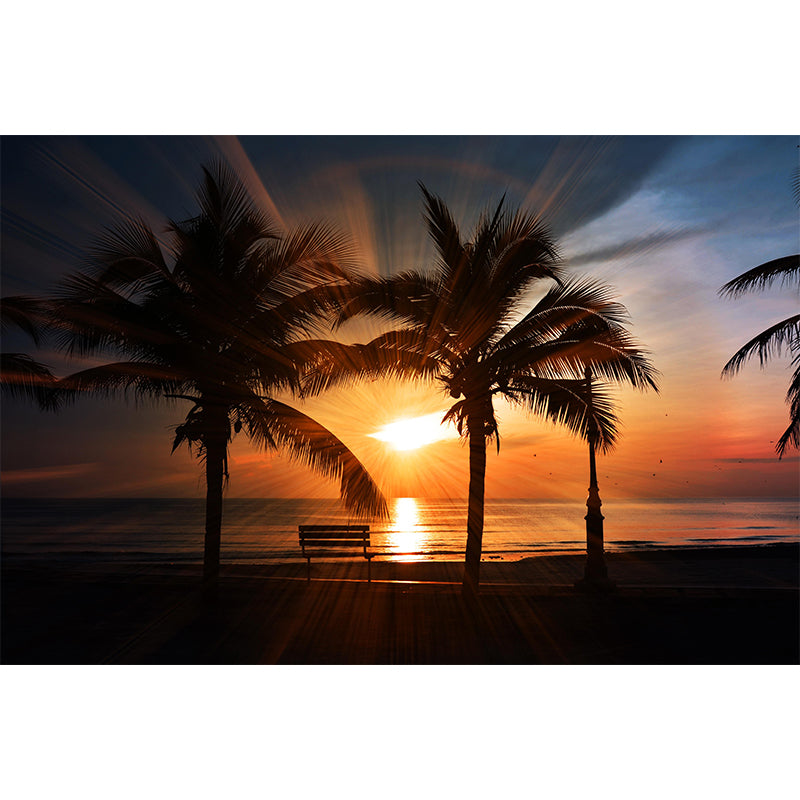 Photography Style Palm Tree Mural Environment Friendly Wallpaper for Home Decor