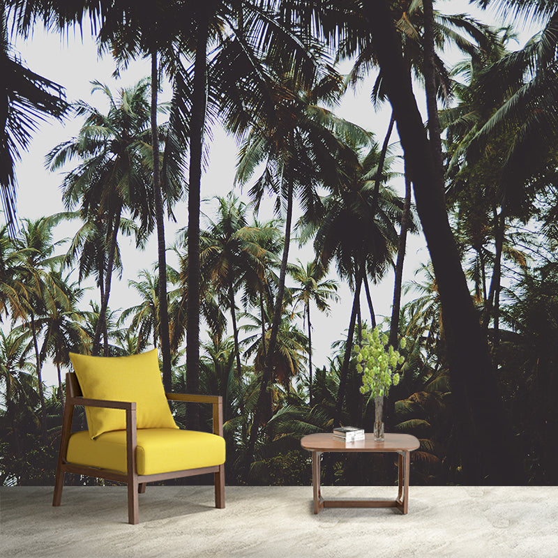 Horizontal Photography Palm Tree Mural Environment Friendly Wallpaper for Home