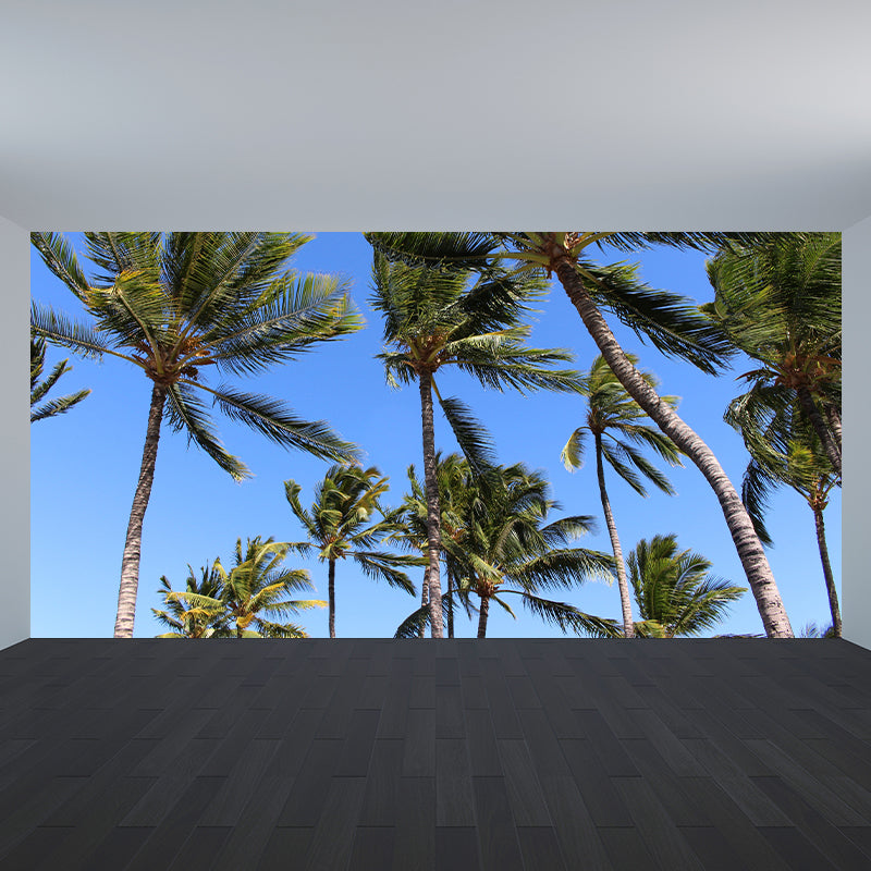 Photography Palm Tree Mural Environment Friendly Wallpaper for Home Decor