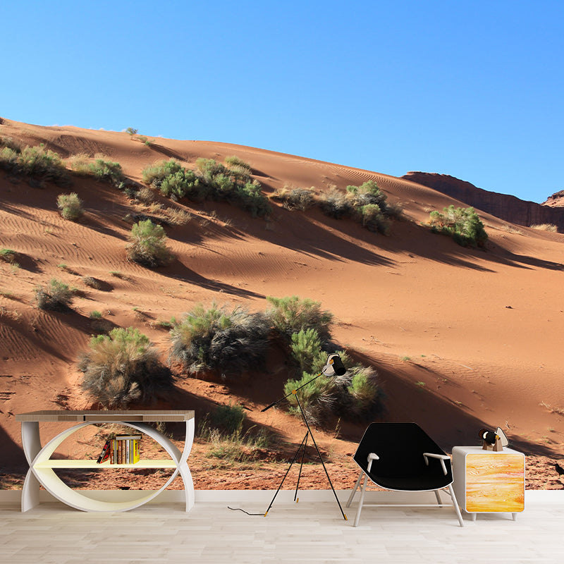 Horizontal Photography Desert Mural Mildew Resistant Wallpaper for Home Decor