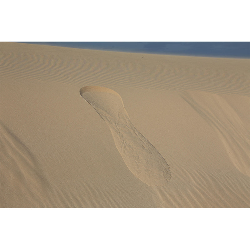 Photography Desert Mural Environment Friendly Wallpaper for Home Decor