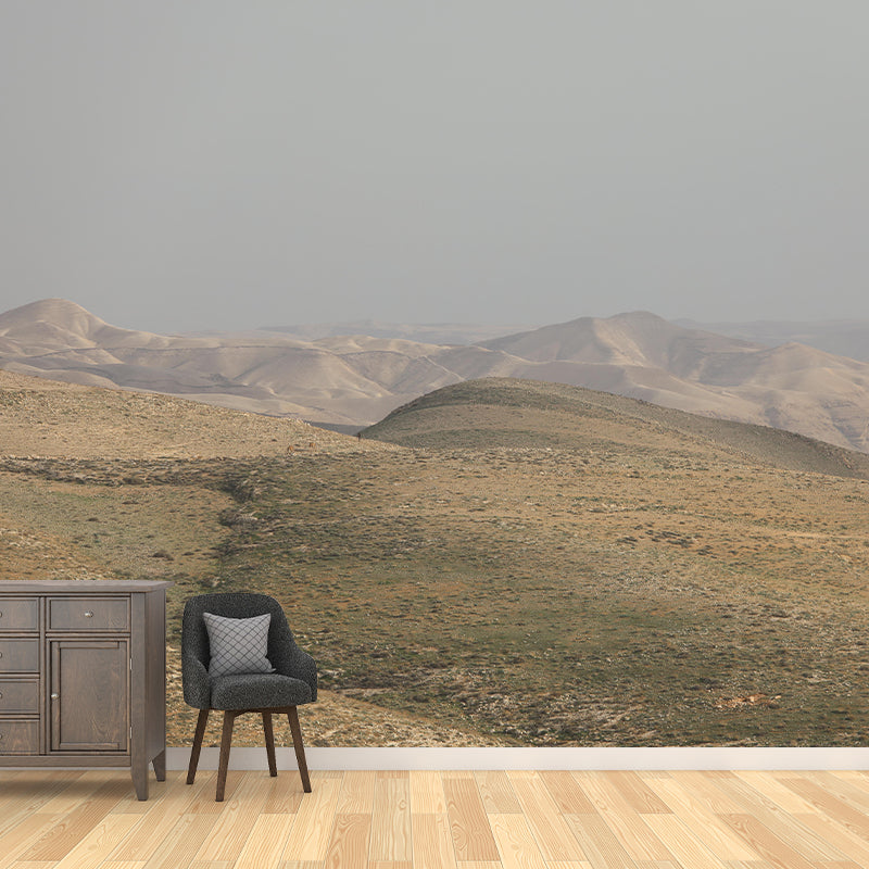 Photography Desert Mural Mildew Resistant Wallpaper for Fireplace