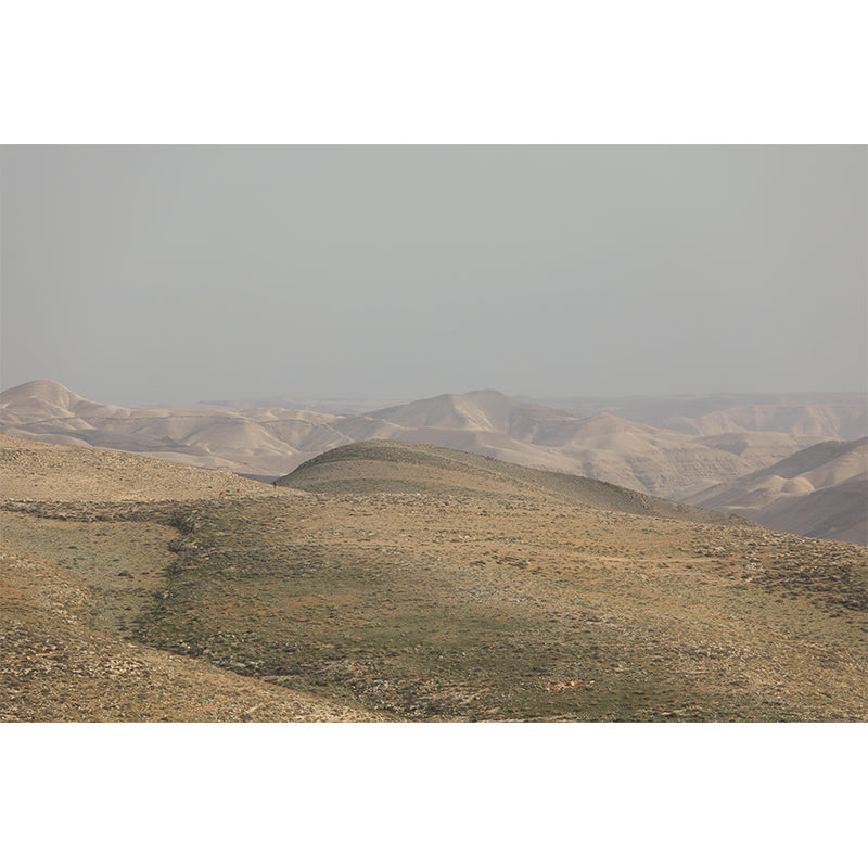 Photography Desert Mural Mildew Resistant Wallpaper for Fireplace