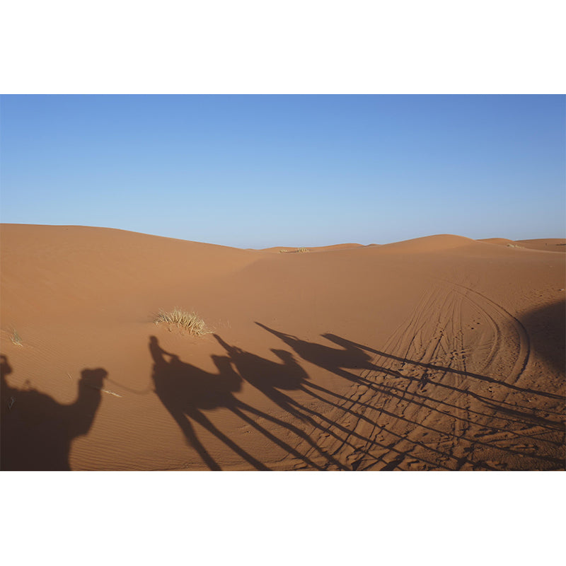 Horizontal Photography Desert Mural Environment Friendly Wallpaper for Room