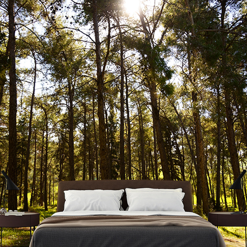 Green Forest Mural Decal Modern Stain Proof Bedroom Wall Decor, Made to Measure