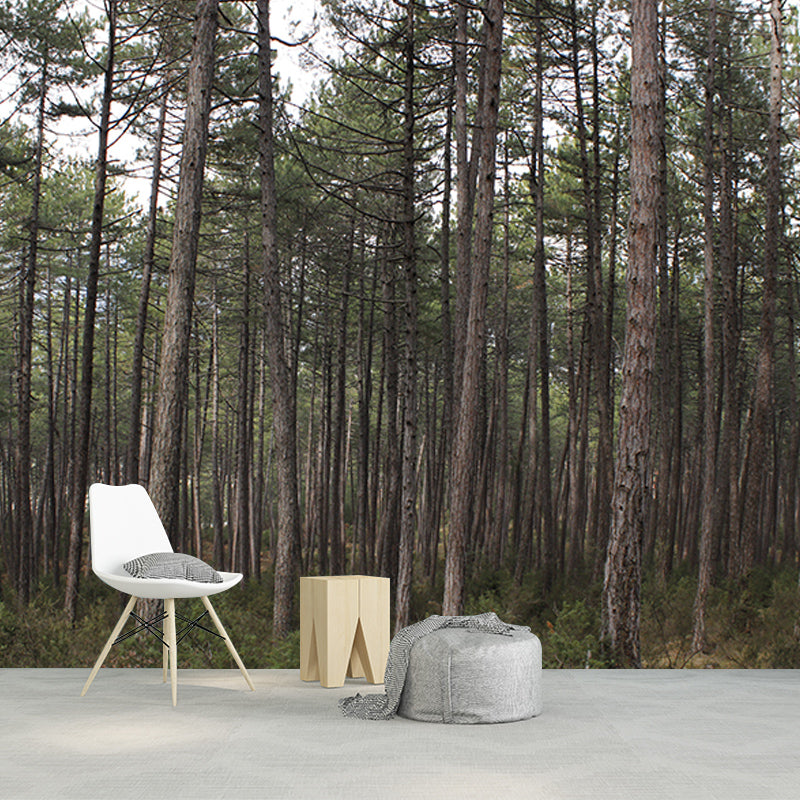 Green Forest Mural Decal Modern Stain Proof Bedroom Wall Decor, Made to Measure