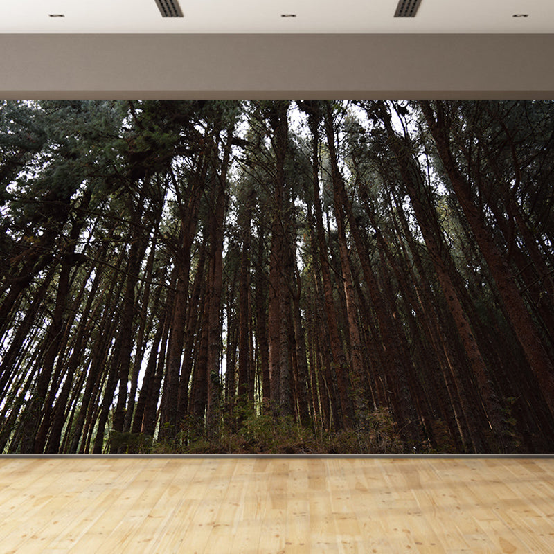 Forest View Mural Decal Modern Water Resistant Bedroom Wall Decor, Made to Measure