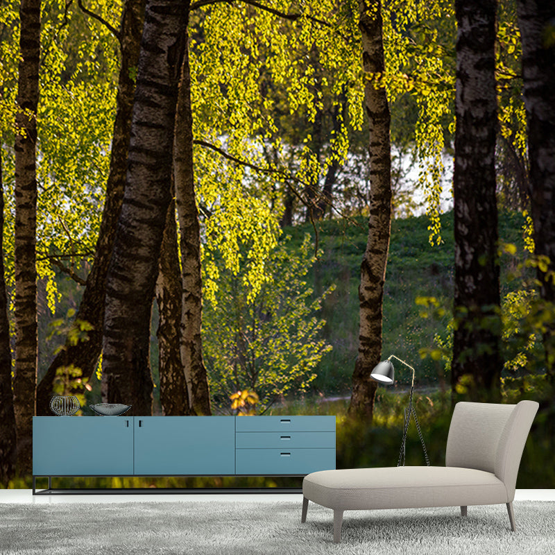 Forest View Mural Decal Modern Water Resistant Bedroom Wall Decor, Made to Measure