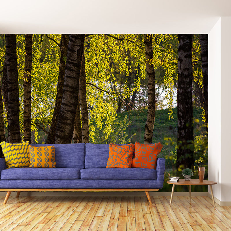 Forest View Mural Decal Modern Water Resistant Bedroom Wall Decor, Made to Measure