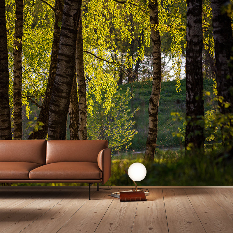 Forest View Mural Decal Modern Water Resistant Bedroom Wall Decor, Made to Measure