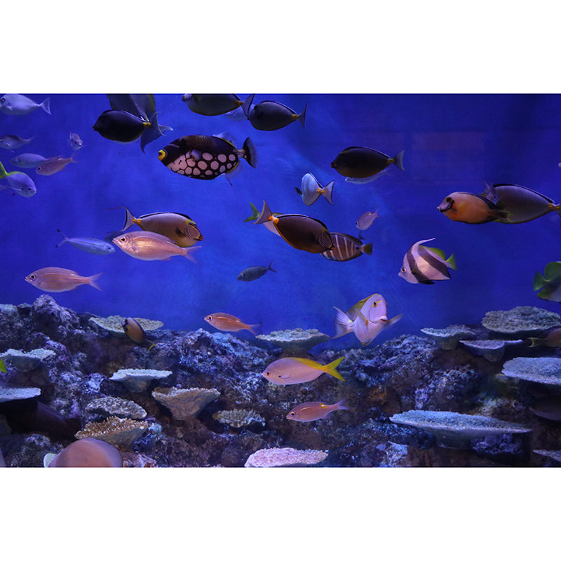 Underwater Life Mural Wallpaper for Living Room Wall Covering in Soft Color