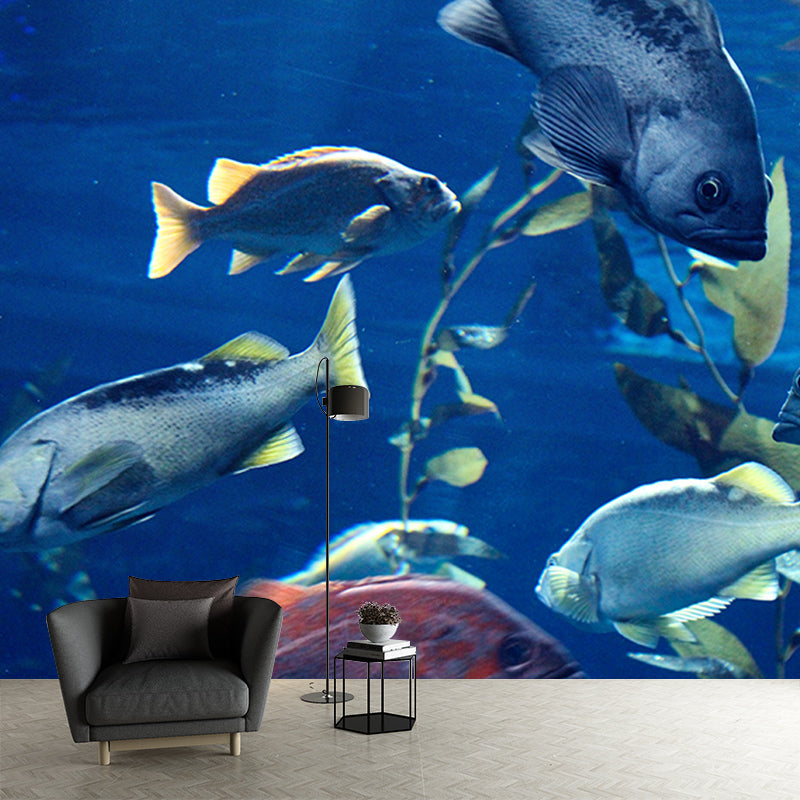 Sea Creatures Mural Wall Covering Decorative Mildew Resistant for Bedroom