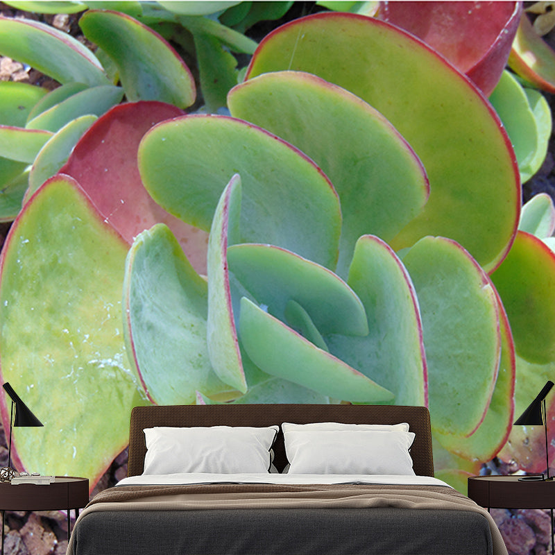 Tropical Cactus Mural Wall Covering Decorative Mildew Resistant for Living Room