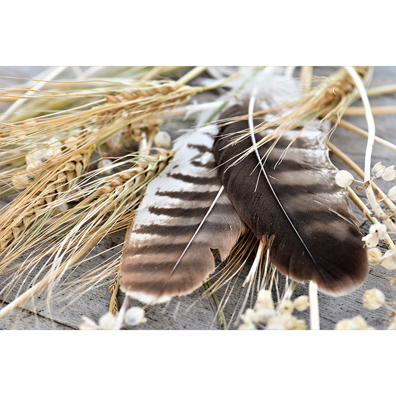 Feather Mural Wallpaper for Living Room Decor, Water Resistant, Made to Measure