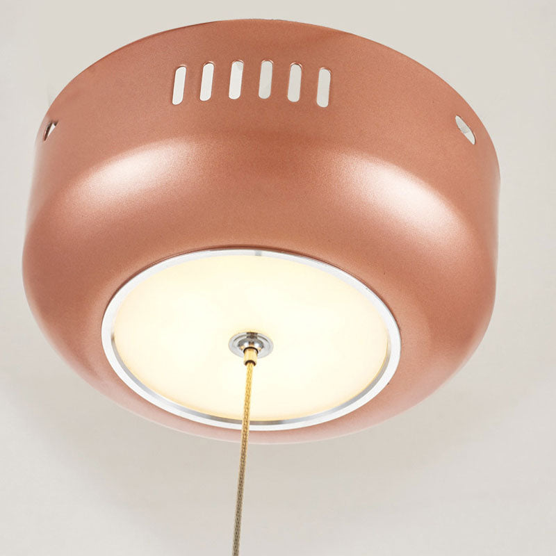 Glowworm Chandelier Light Fixtures Modern Multi-Head Hanging Pendant Lights with Acrylic Shade