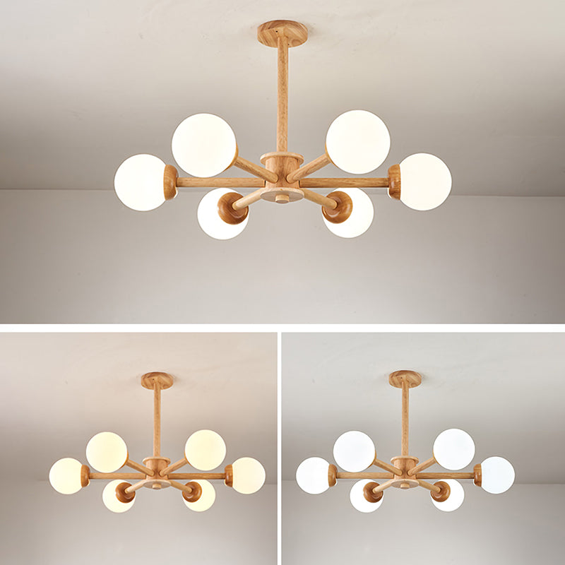 Globe Chandelier Pendant Light Modern Multi-Head Chandelier Lamps Fixtures for Living Room