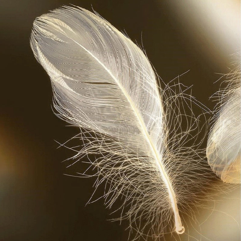 LED Ceiling Lighting Modern Flush Mount Ceiling Light Fixtures with Feather Pattern