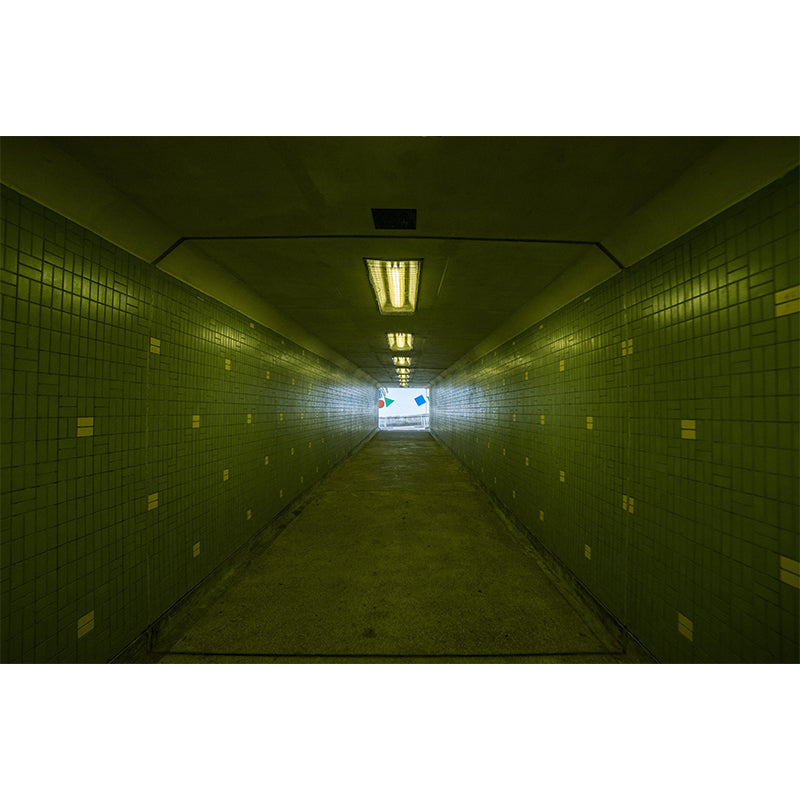 Space Extension Mural Wallpaper Mildew Resistant Wall Covering for Home