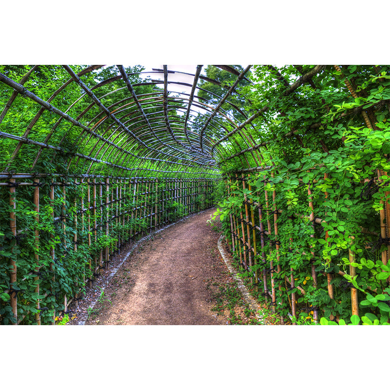 Space Extension Mural Wallpaper Mildew Resistant Wall Covering for Room