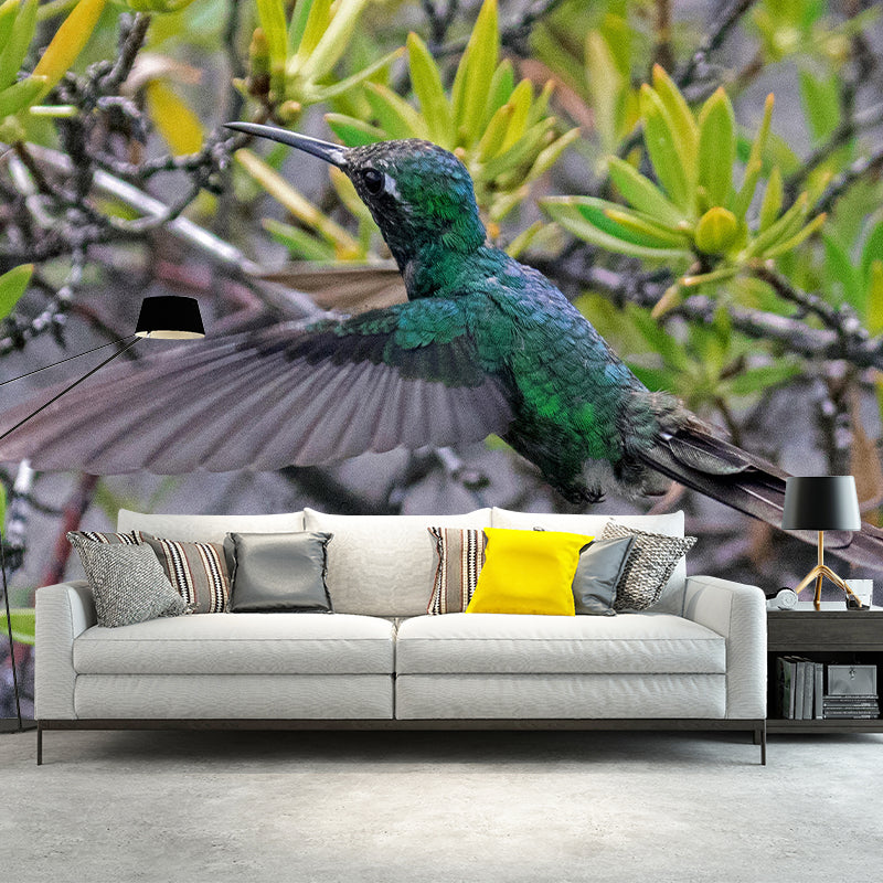 Hummingbird Wall Mural Wallpaper Mildew Resistant Wall Covering for Decoration
