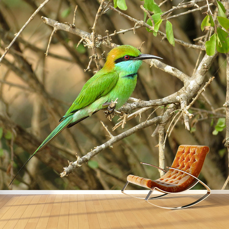 Hummingbird Wall Mural Wallpaper Mildew Resistant Wall Covering for Decoration