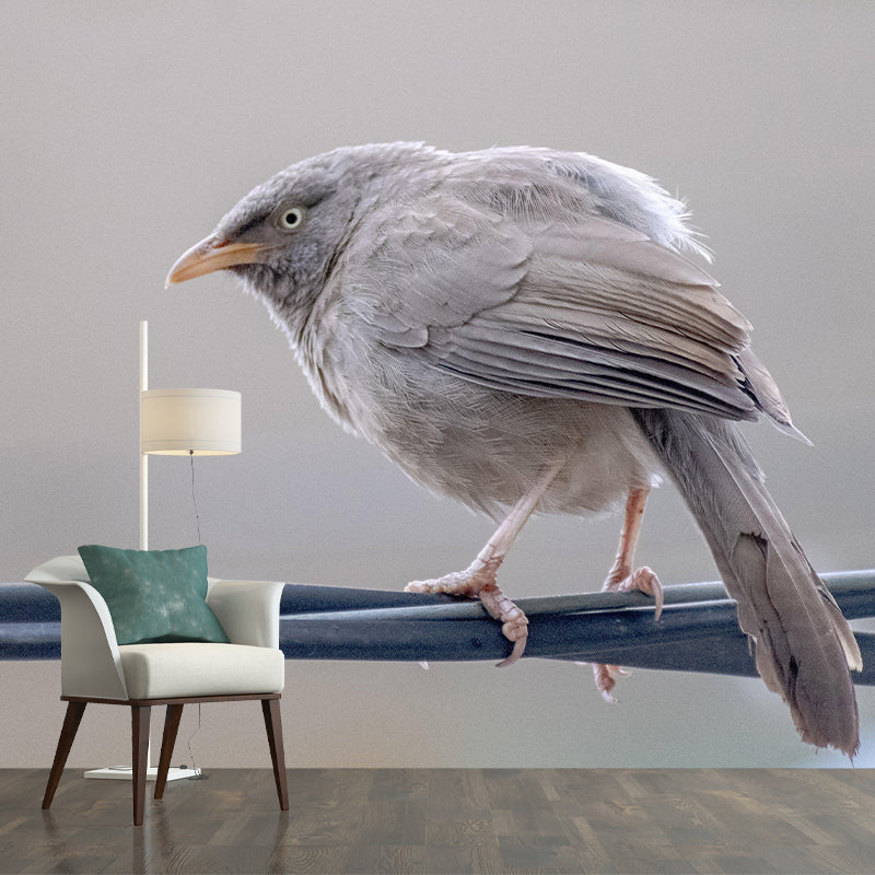 Lovely Bird Wall Mural Wallpaper Mildew Resistant Wall Covering for Decoration