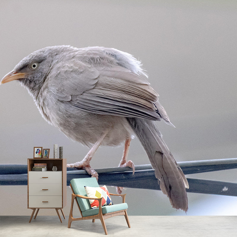 Lovely Bird Wall Mural Wallpaper Mildew Resistant Wall Covering for Decoration