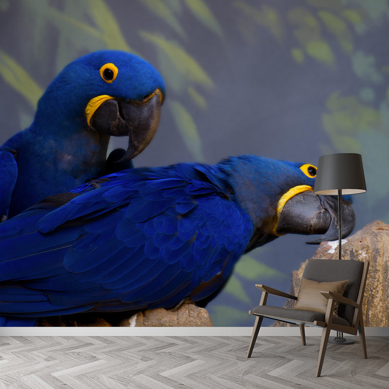 Lovely Parrot Wall Mural Wallpaper Mildew Resistant Wall Covering for Decoration