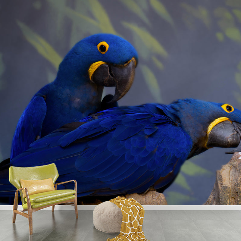 Lovely Parrot Wall Mural Wallpaper Mildew Resistant Wall Covering for Decoration